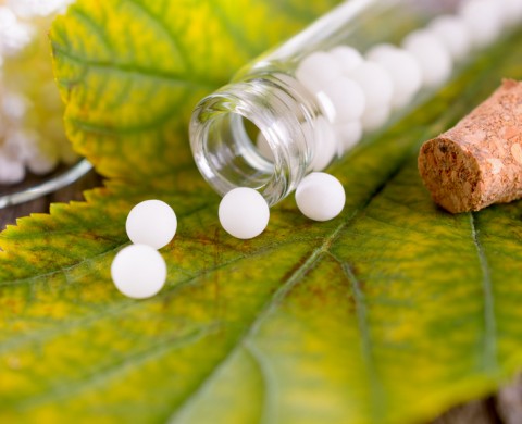 Homeopathic globules